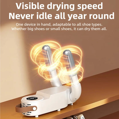 Advanced Smart Footwear Sanitizing System